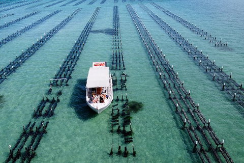 Experience Coffin Bay Oyster Farm And Bay Tour - ACT Tourism 8