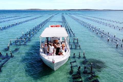 Experience Coffin Bay Oyster Farm And Bay Tour - ACT Tourism 12