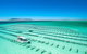 Experience Coffin Bay Oyster Farm And Bay Tour - thumb 7