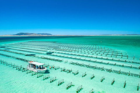 Experience Coffin Bay Oyster Farm And Bay Tour - ACT Tourism 7