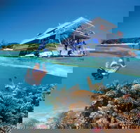 3-Day Southern Great Barrier Reef Tour Including Lady Musgrave Island - ACT Tourism