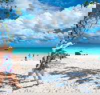 Whitehaven Beach Half-Day Cruises - ACT Tourism