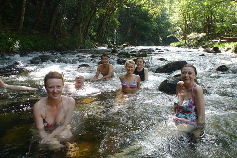 Daintree Rainforest, Cape Tribulation, Mossman Gorge In A Day - ACT Tourism 10