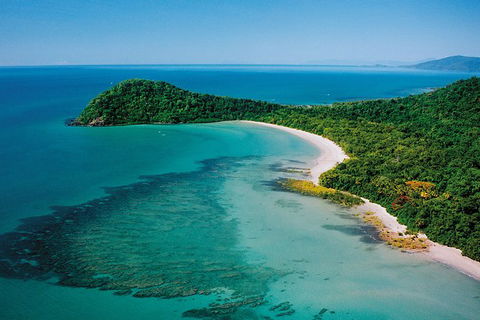 Daintree Rainforest, Cape Tribulation, Mossman Gorge In A Day - ACT Tourism 6