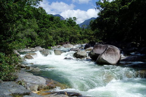 Daintree Rainforest, Cape Tribulation, Mossman Gorge In A Day - ACT Tourism 2