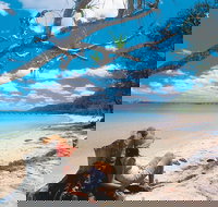 3-Day Fraser Island Resort Package - ACT Tourism