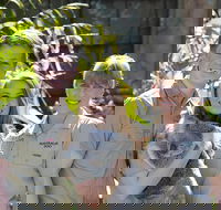 Koala Cuddle Adventure Croc 2 - ACT Tourism