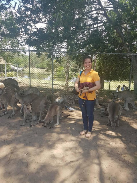 Lone Pine Koala Sanctuary Admission With Brisbane River Cruise - ACT Tourism 17