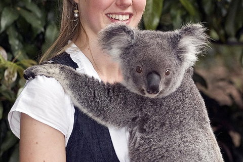 Lone Pine Koala Sanctuary Admission With Brisbane River Cruise - ACT Tourism 1