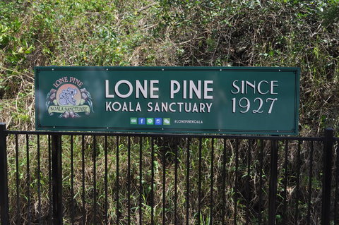 Lone Pine Koala Sanctuary Admission With Brisbane River Cruise - ACT Tourism 7