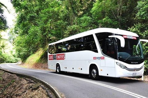 Palm Cove Departure Transfer - Palm Cove To Airport - ACT Tourism 1