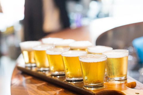 XXXX Brewery Tour - ACT Tourism 9