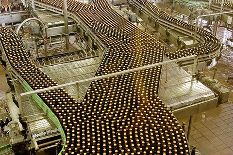 XXXX Brewery Tour - ACT Tourism 4