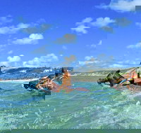 Horse Swimming Ride from Rainbow Beach - ACT Tourism