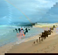 Rainbow Beach Horse Ride - ACT Tourism