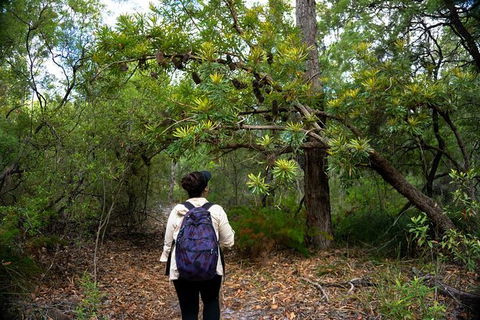 Pack-free Camping: Lake McKenzie Central Hike - 2 Days - ACT Tourism 1