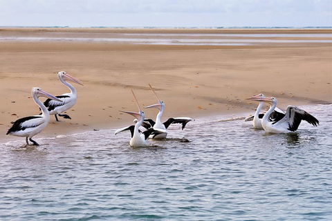 Town Of 1770 Afternoon Cruise - ACT Tourism 3