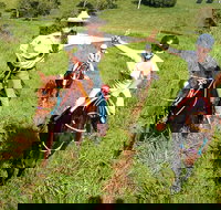 Country Day Ride from Mt Goomboorian with Rainbow Beach Horse Rides - ACT Tourism