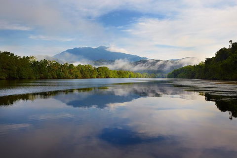 Daintree River Dawn Cruise - ACT Tourism 5