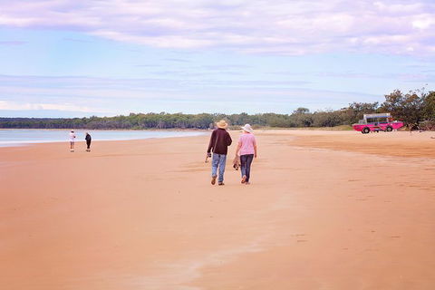 1770 Coastline Tour By LARC Amphibious Vehicle Including Picnic Lunch - ACT Tourism 3