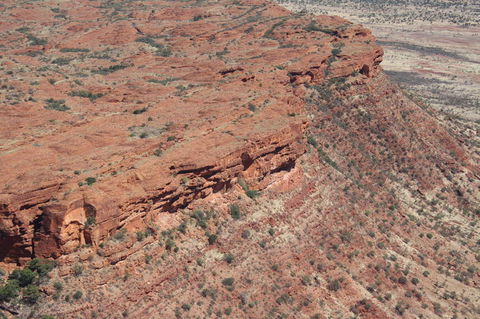 Kings Canyon Day Trip From Ayers Rock - ACT Tourism 7