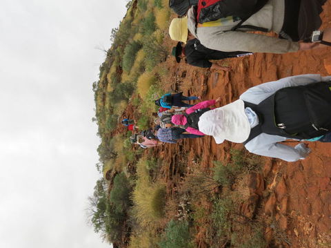 Kings Canyon Day Trip From Ayers Rock - ACT Tourism 14