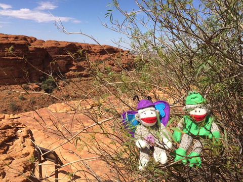 Kings Canyon Day Trip From Ayers Rock - ACT Tourism 23