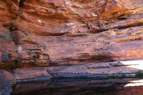 Kings Canyon Day Trip From Ayers Rock - ACT Tourism 16