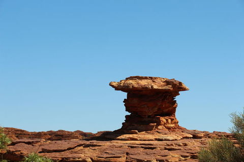Kings Canyon Day Trip From Ayers Rock - ACT Tourism 17