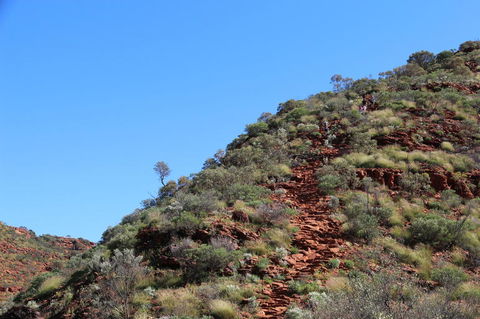 Kings Canyon Day Trip From Ayers Rock - ACT Tourism 21