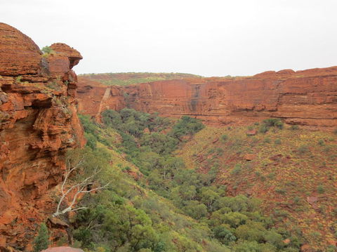 Kings Canyon Day Trip From Ayers Rock - ACT Tourism 13