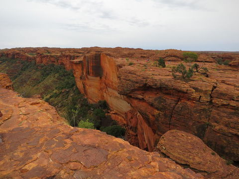Kings Canyon Day Trip From Ayers Rock - ACT Tourism 10