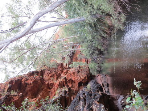 Kings Canyon Day Trip From Ayers Rock - ACT Tourism 11