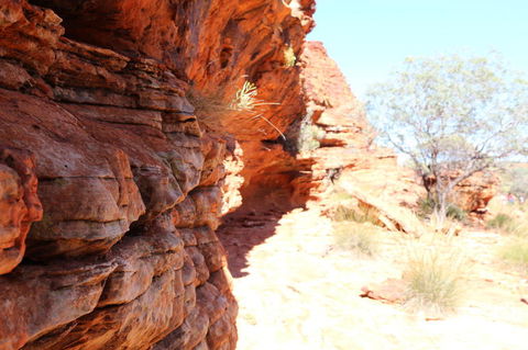 Kings Canyon Day Trip From Ayers Rock - ACT Tourism 20