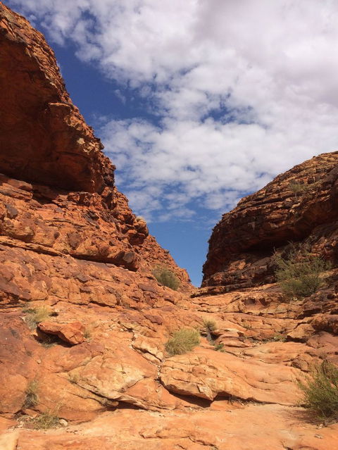 Kings Canyon Day Trip From Ayers Rock - ACT Tourism 25