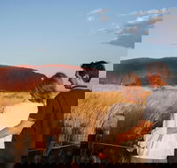 Uluru Ayers Rock Sunset with Outback Barbecue Dinner and Star Tour - ACT Tourism