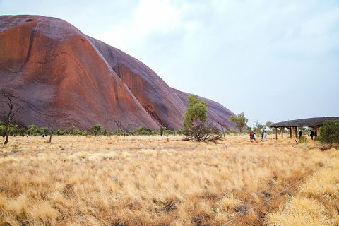 Uluru Sunrise And Guided Base Walk - ACT Tourism 6