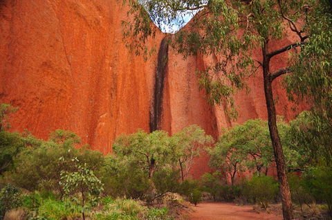 Uluru Sunrise And Guided Base Walk - ACT Tourism 14