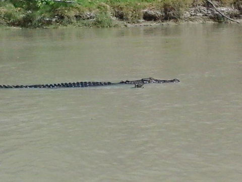 3-Day Kakadu National Park And Arnhem Land Explorer Tour From Darwin - ACT Tourism 7