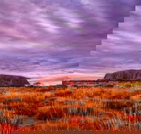 4-Day Camping Trip from Ayers Rock Including Uluru Kata Tjuta and Kings Canyon - ACT Tourism