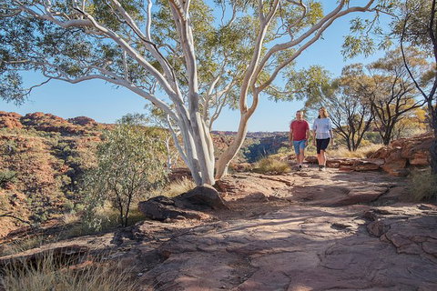 Coach Transfer From Kings Canyon To Alice Springs - ACT Tourism 8