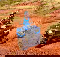 Aussie Outback Air and Land Tour Including Quad Bike Ride - ACT Tourism