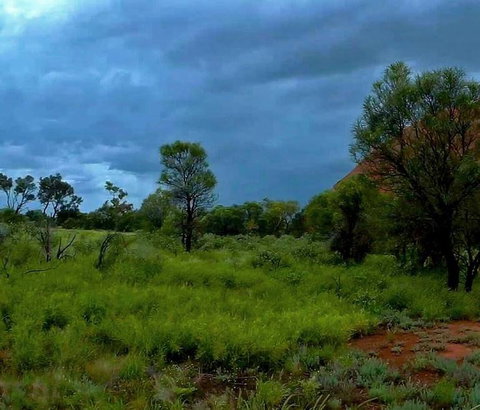 3-Day Ayers Rock To Alice Springs Camping Tour Including Kings Canyon, Kata Tjuta And Uluru - ACT Tourism 11