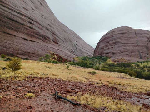 3-Day Ayers Rock To Alice Springs Camping Tour Including Kings Canyon, Kata Tjuta And Uluru - ACT Tourism 4