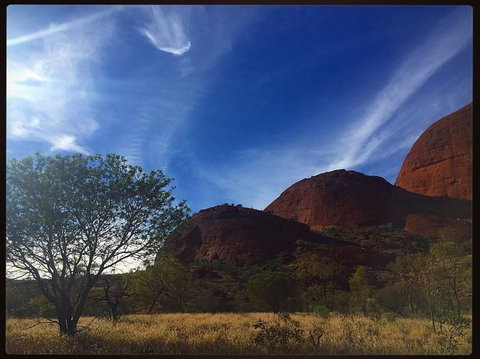 3-Day Ayers Rock To Alice Springs Camping Tour Including Kings Canyon, Kata Tjuta And Uluru - ACT Tourism 14