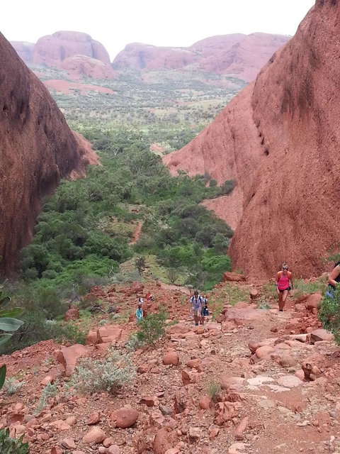3-Day Ayers Rock To Alice Springs Camping Tour Including Kings Canyon, Kata Tjuta And Uluru - ACT Tourism 7