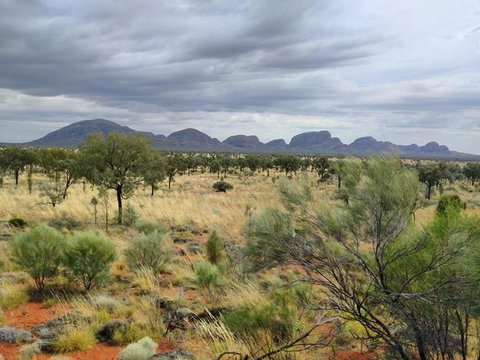 3-Day Ayers Rock To Alice Springs Camping Tour Including Kings Canyon, Kata Tjuta And Uluru - ACT Tourism 5