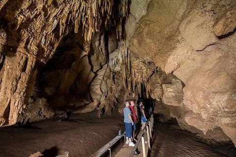 Cutta Cutta Caves Nature Park Guided Tours - ACT Tourism 1