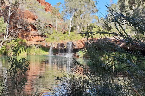 20 Day Darwin To Perth Adventure - ACT Tourism 10