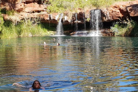 20 Day Darwin To Perth Adventure - ACT Tourism 6